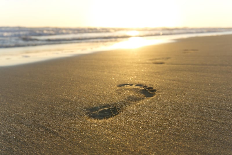 Beach Stroll